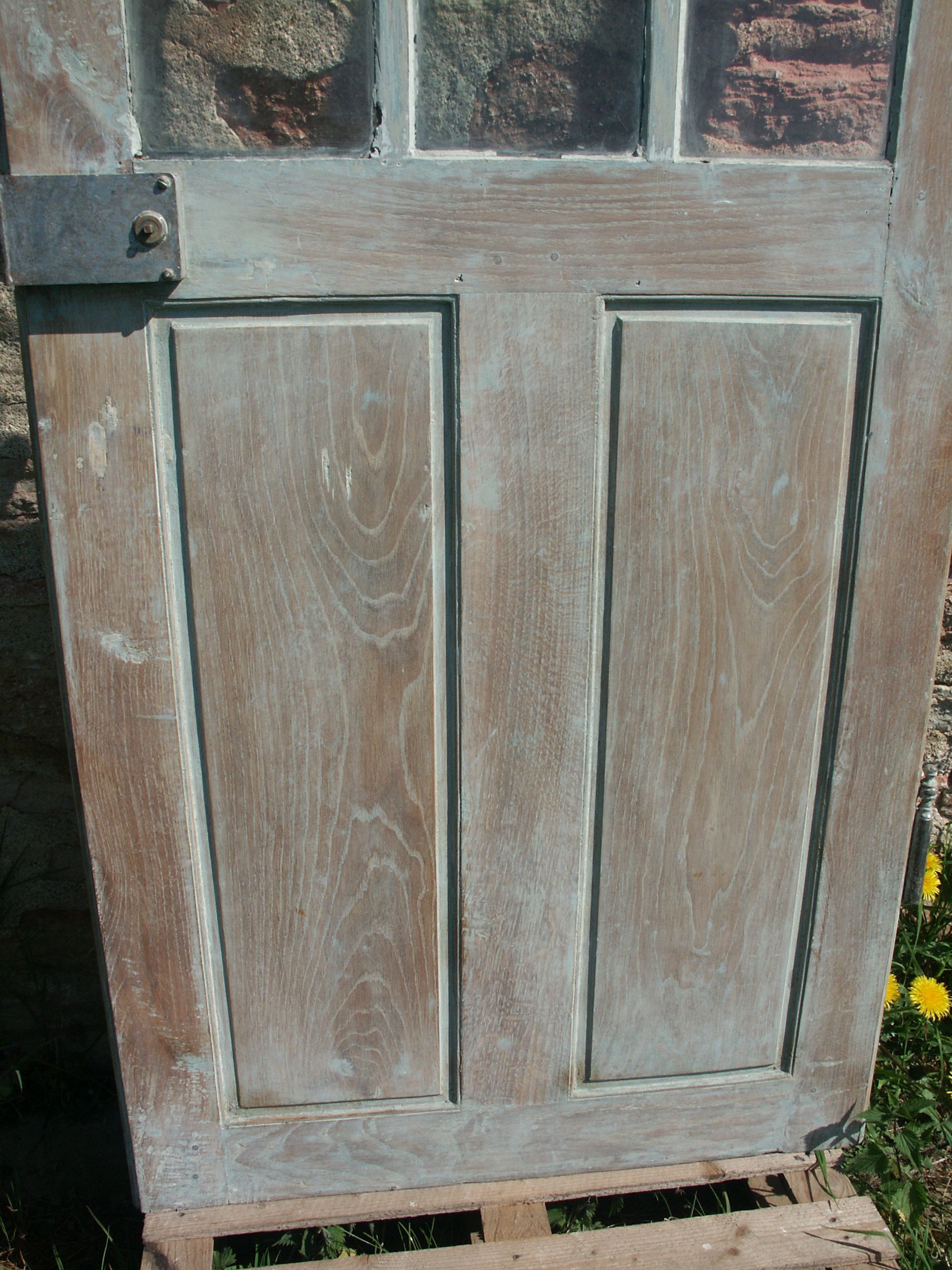 Glass raw oak door