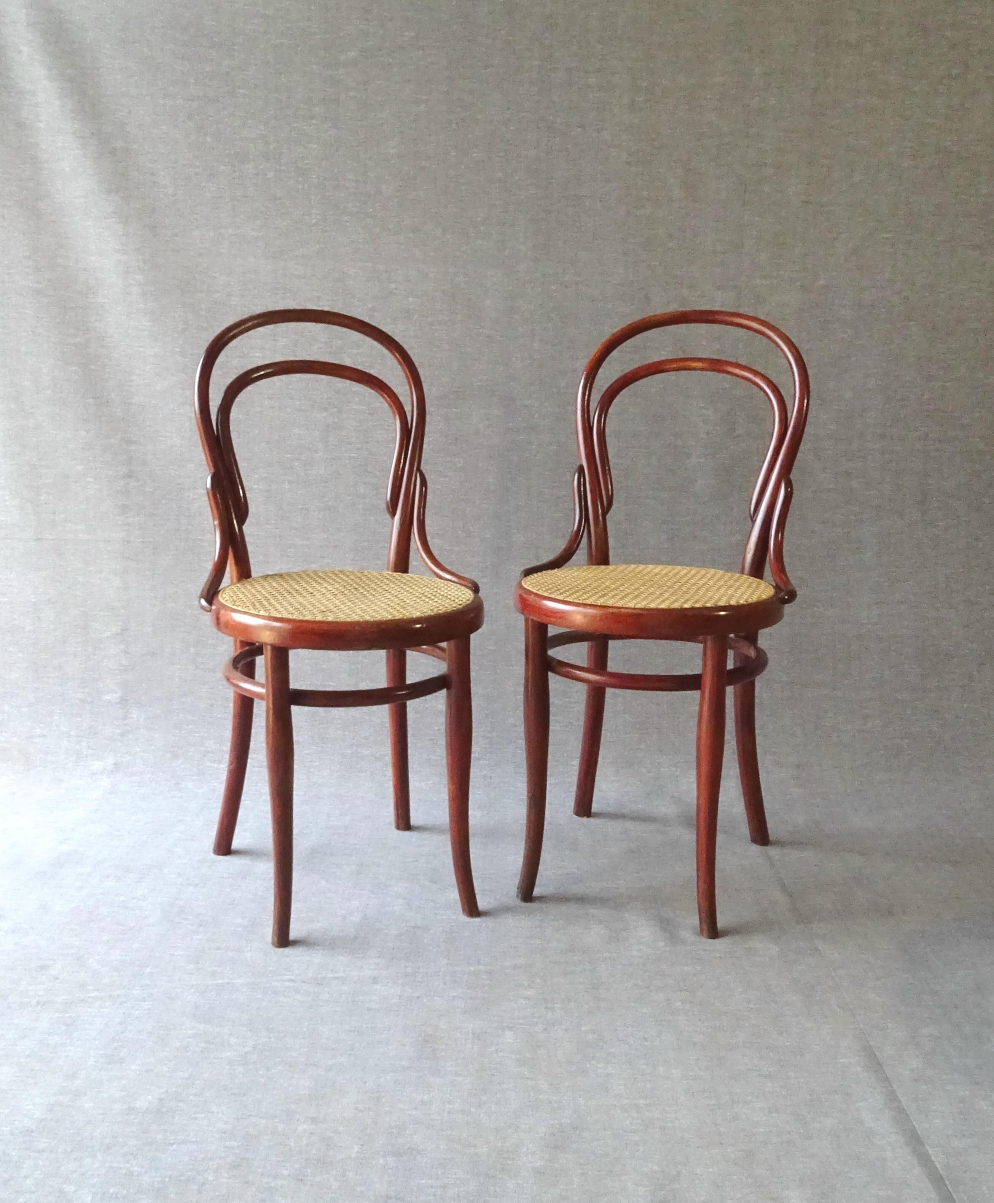 Set of 5 Thonet chairs N°14 1/2 circa 1910 perfect cannages