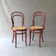 Set de 5 chaises Thonet N°14 1/2 vers 1910 cannages