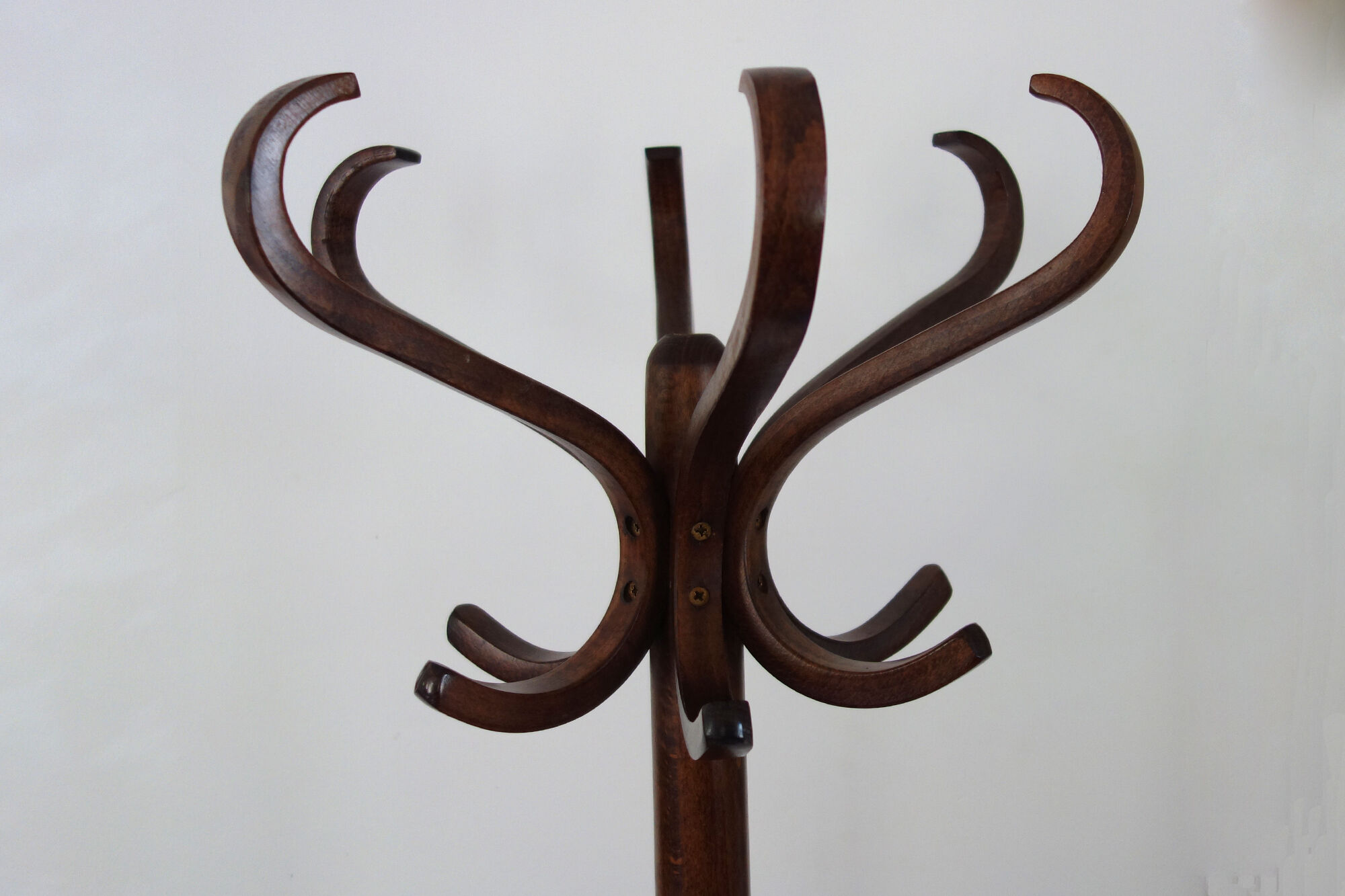 Baumann parrot coat holder