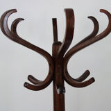 Baumann parrot coat holder