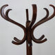 Baumann parrot coat holder