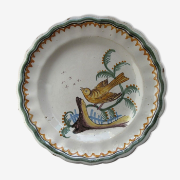 Plate XIXth, Perched bird catching insects