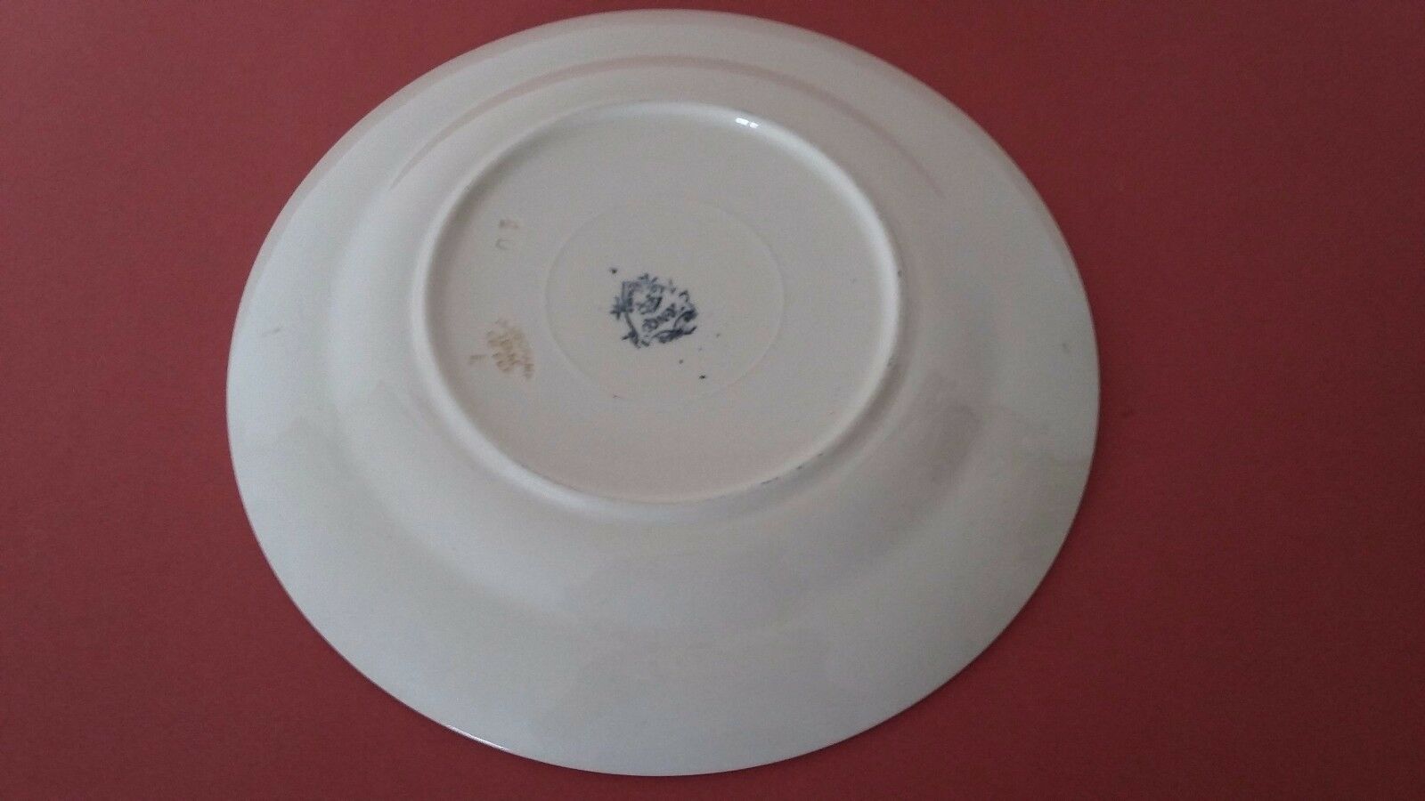 Plate Longchamp Earth model railway scenery ostriches Congo