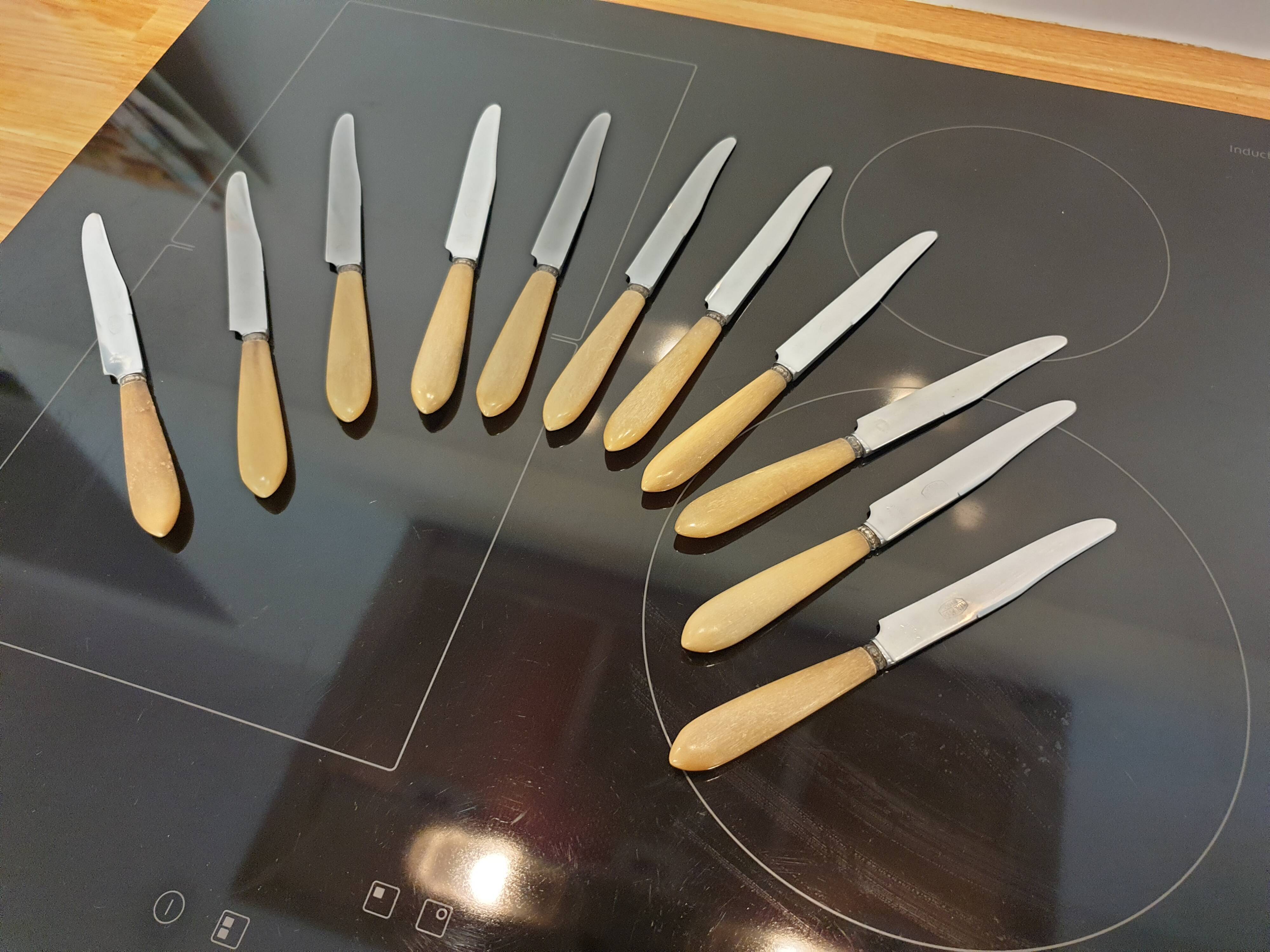 10 couteaux en corne virole en argent