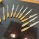 10 couteaux en corne virole en argent