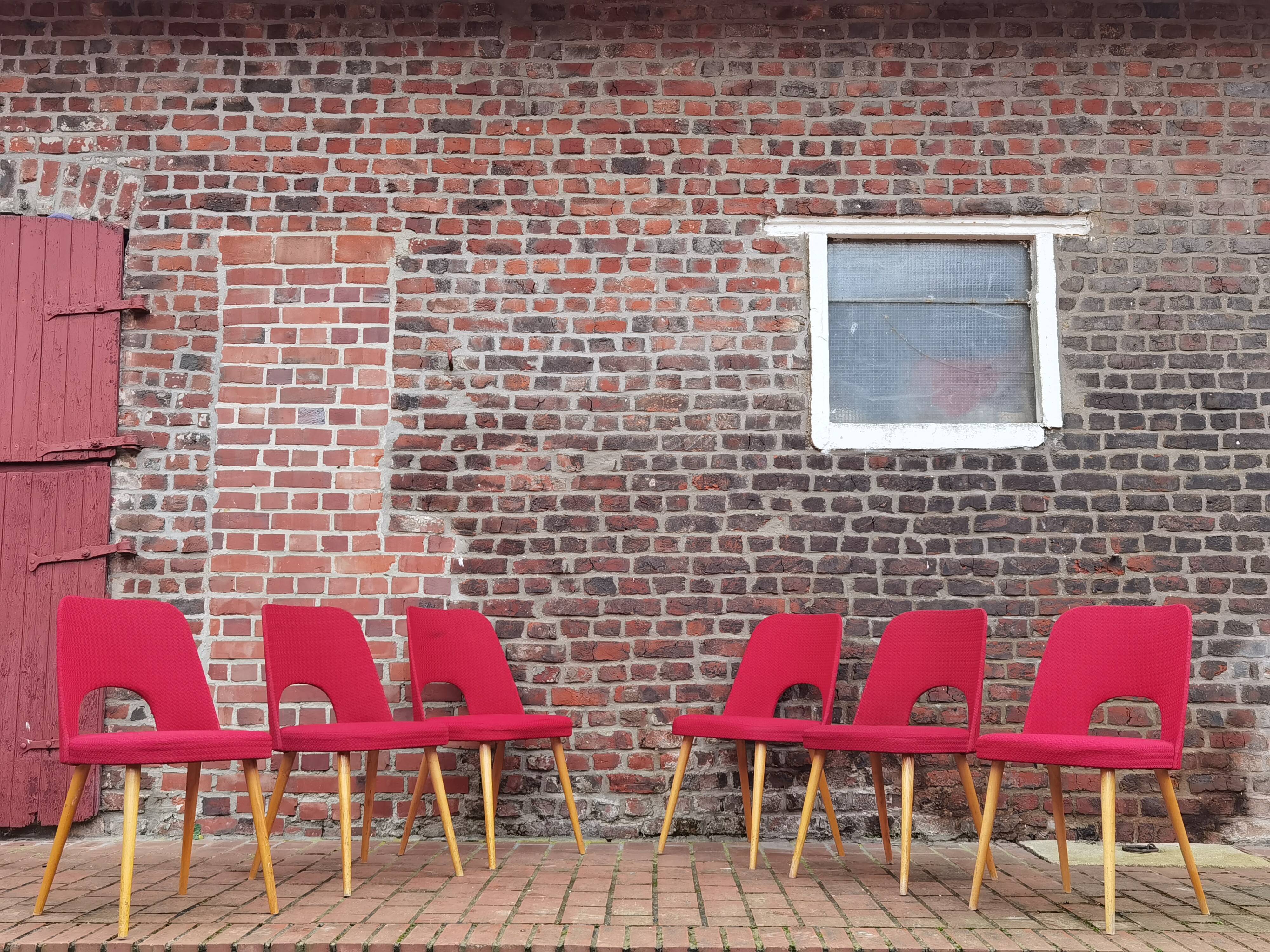 Lot of 6 Oswald Haerdtl chairs for Ton
