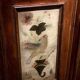 Painted Doors, Northern Italy XVII