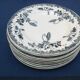 Set of 9 flat plates in iron earth St Amand and Hamage