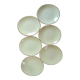 Set of 6 flat yellow plates porcelain from Salins model Tivoli