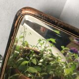 Former barber beveled mirror 23,5x16cm