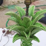 Ceramic lamp by Jean Roger France circa 1960