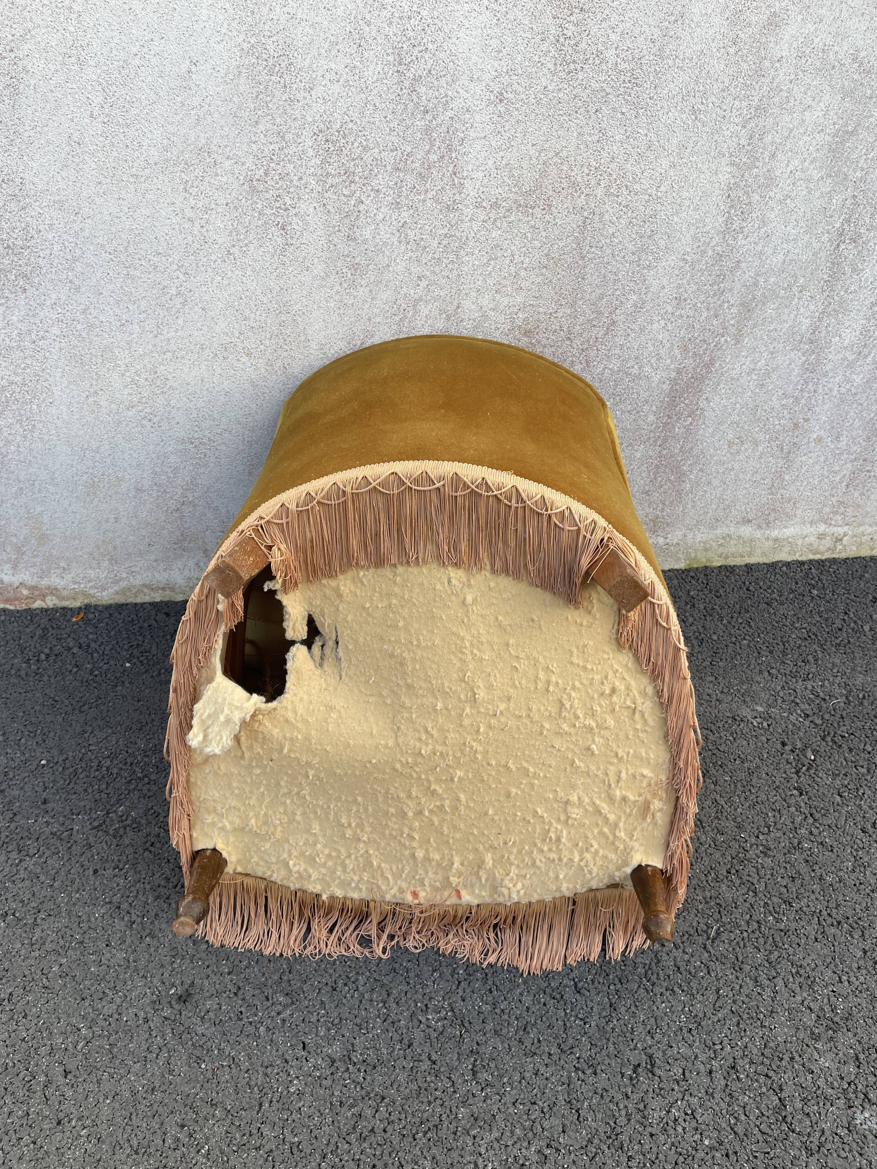 Padded golden yellow velvet toad