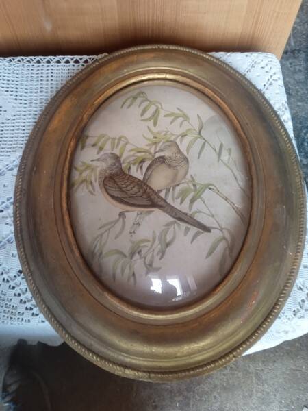 Antique oval curved glass frame 46/36c