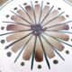 Set of 5 dessert plates Longchamp France
