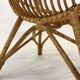 Fauteuil rotin Van Rohe Noordwolde, 1960