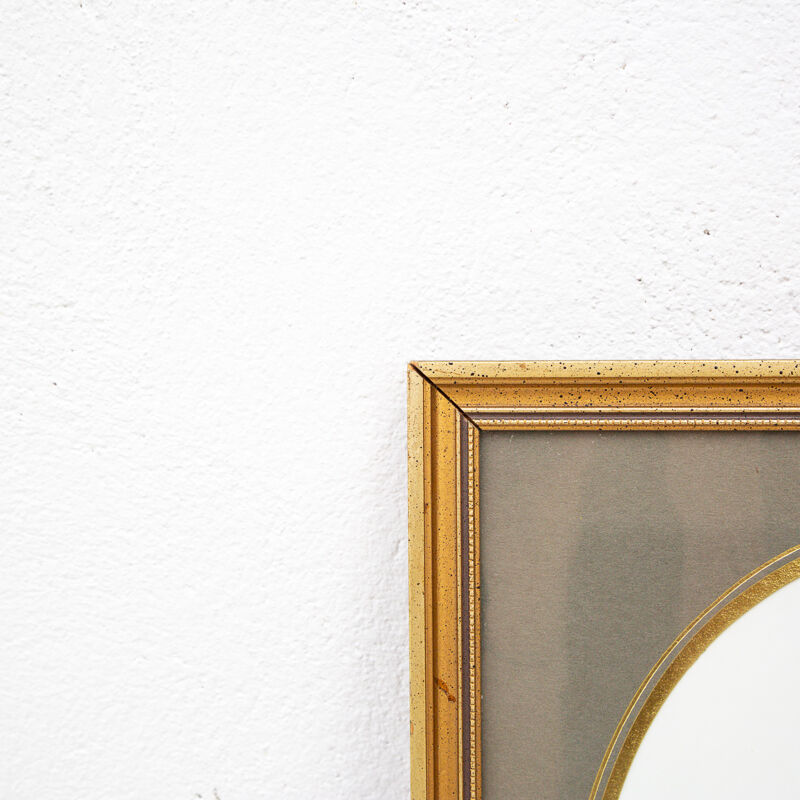 Reproduction of passerine birds by Murr ornithological board