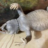 Ancient naturalized lizard