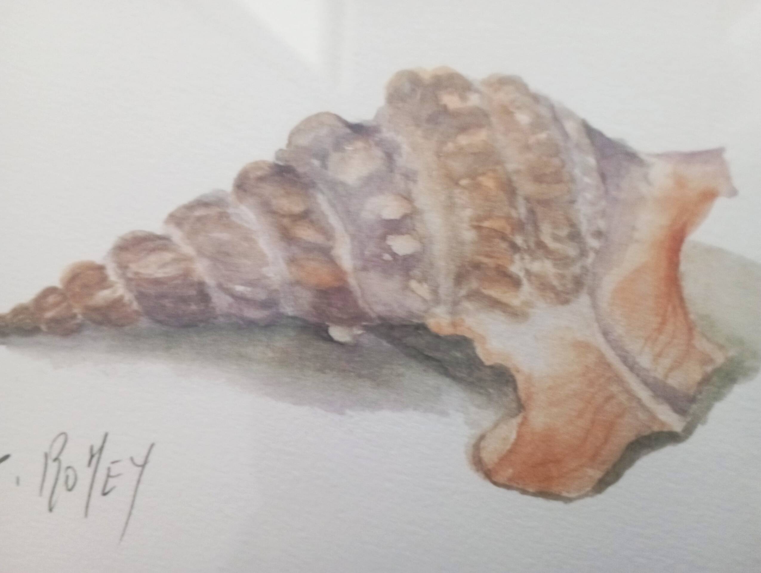 Watercolor signed Romey