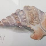 Watercolor signed Romey