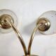 Tulip wall lamp 50s, Vintage, glass and brass