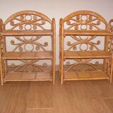 Peacock shelving lot