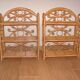 Peacock shelving lot