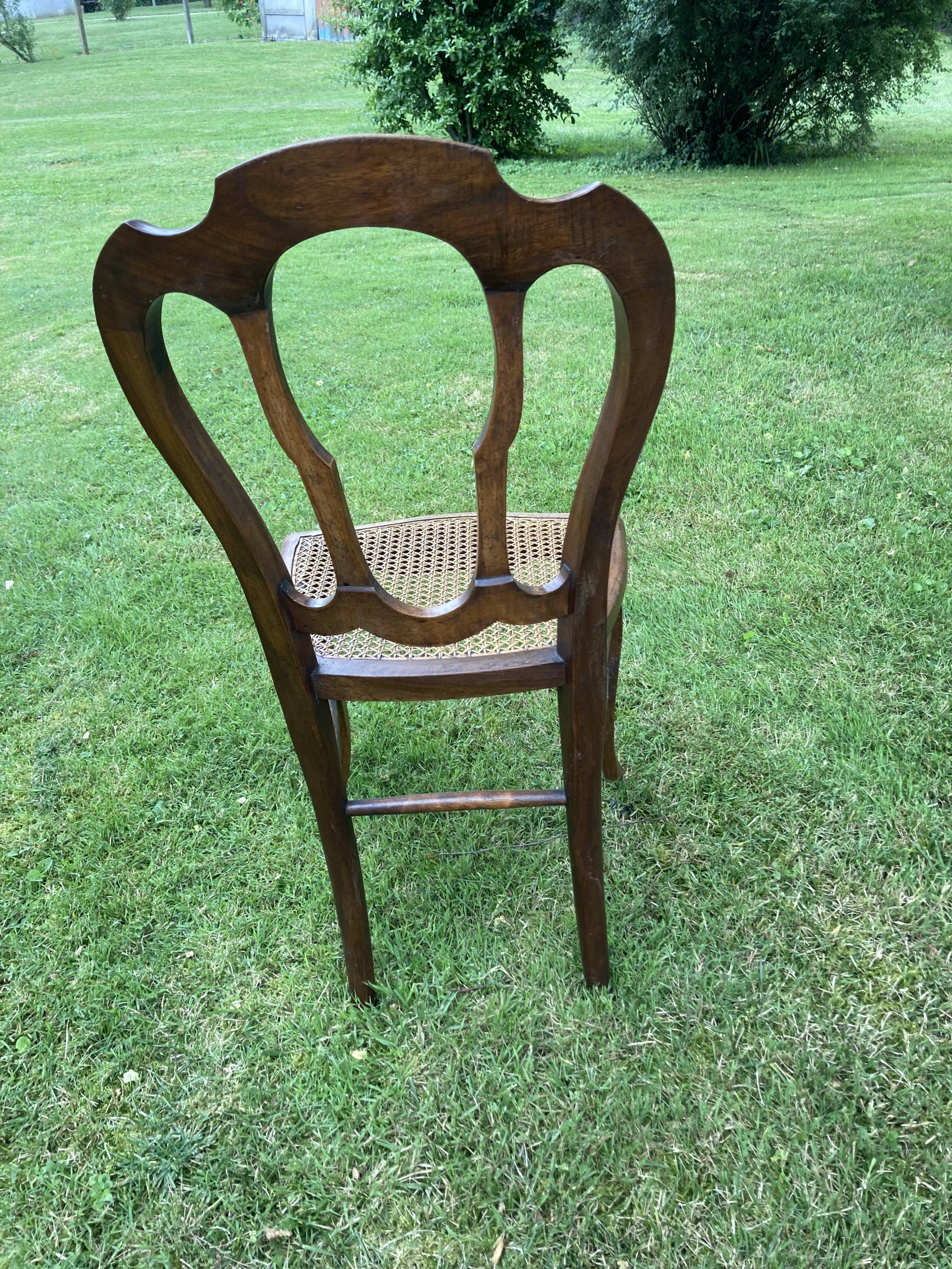6 louis philippe cannate chairs