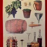 Educational poster Deyrolles Le Vin.