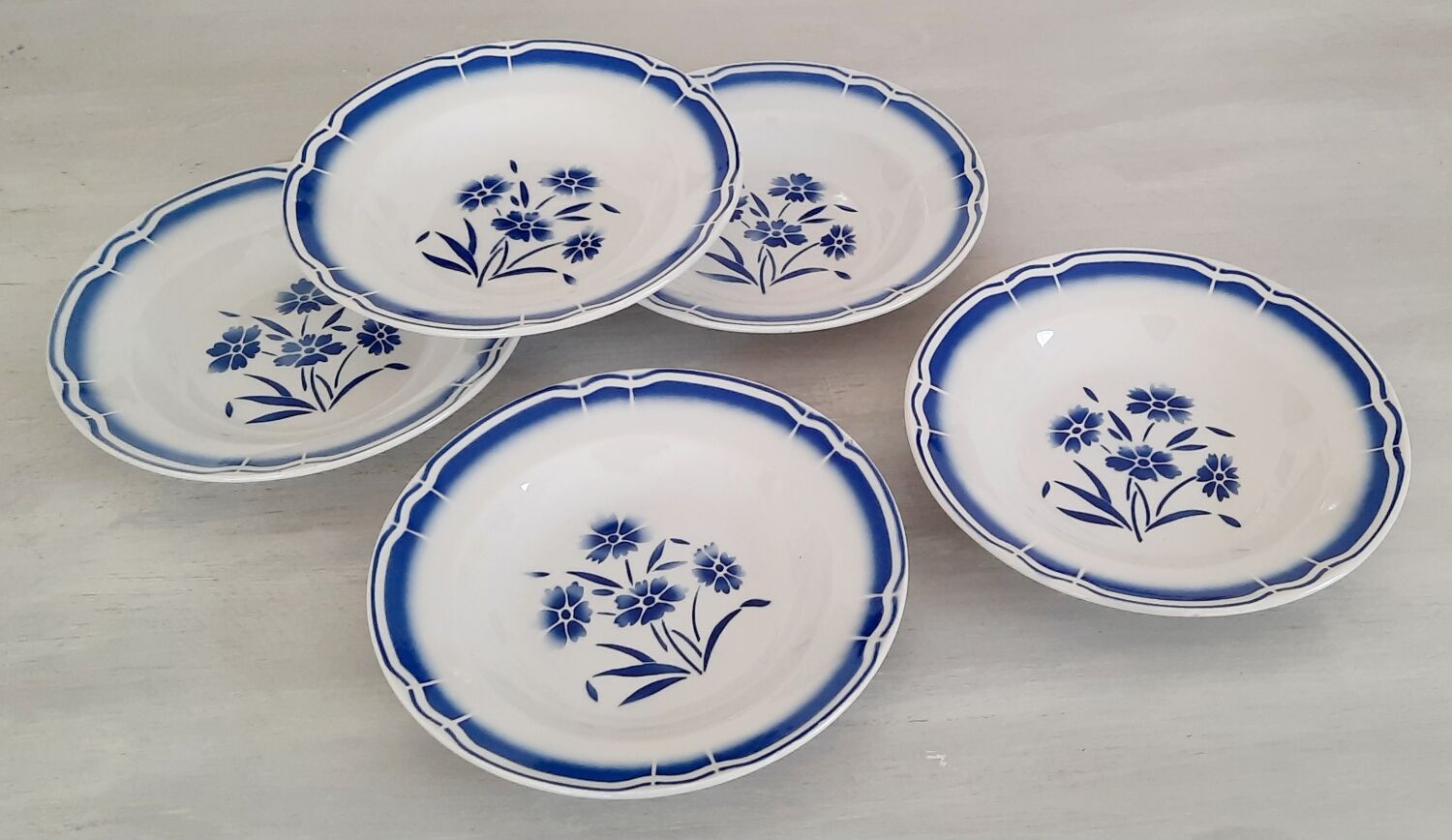 Hollow earthenware plates fb Badonviller décor vintage blueberries