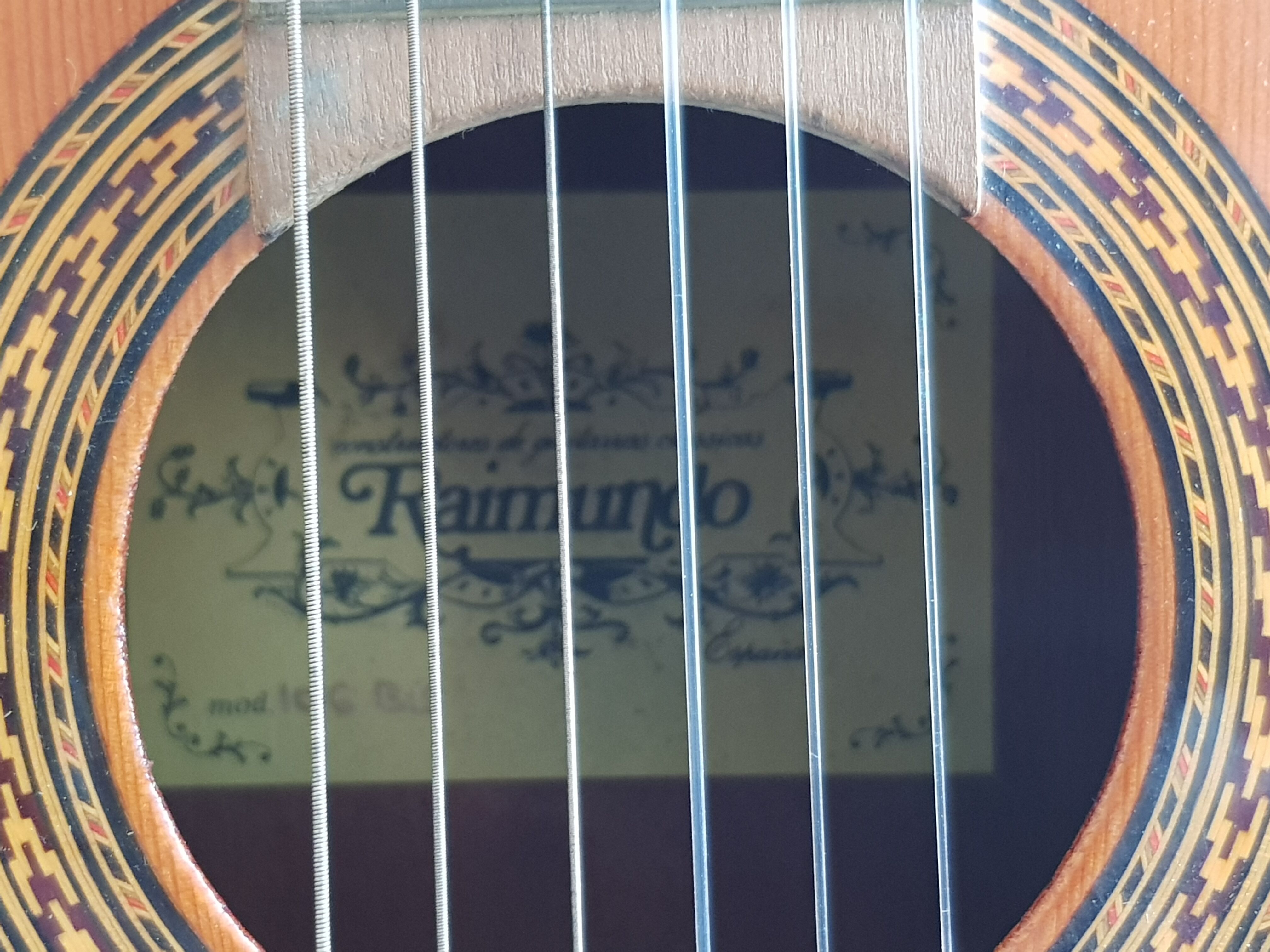 Vintage guitar raimundo