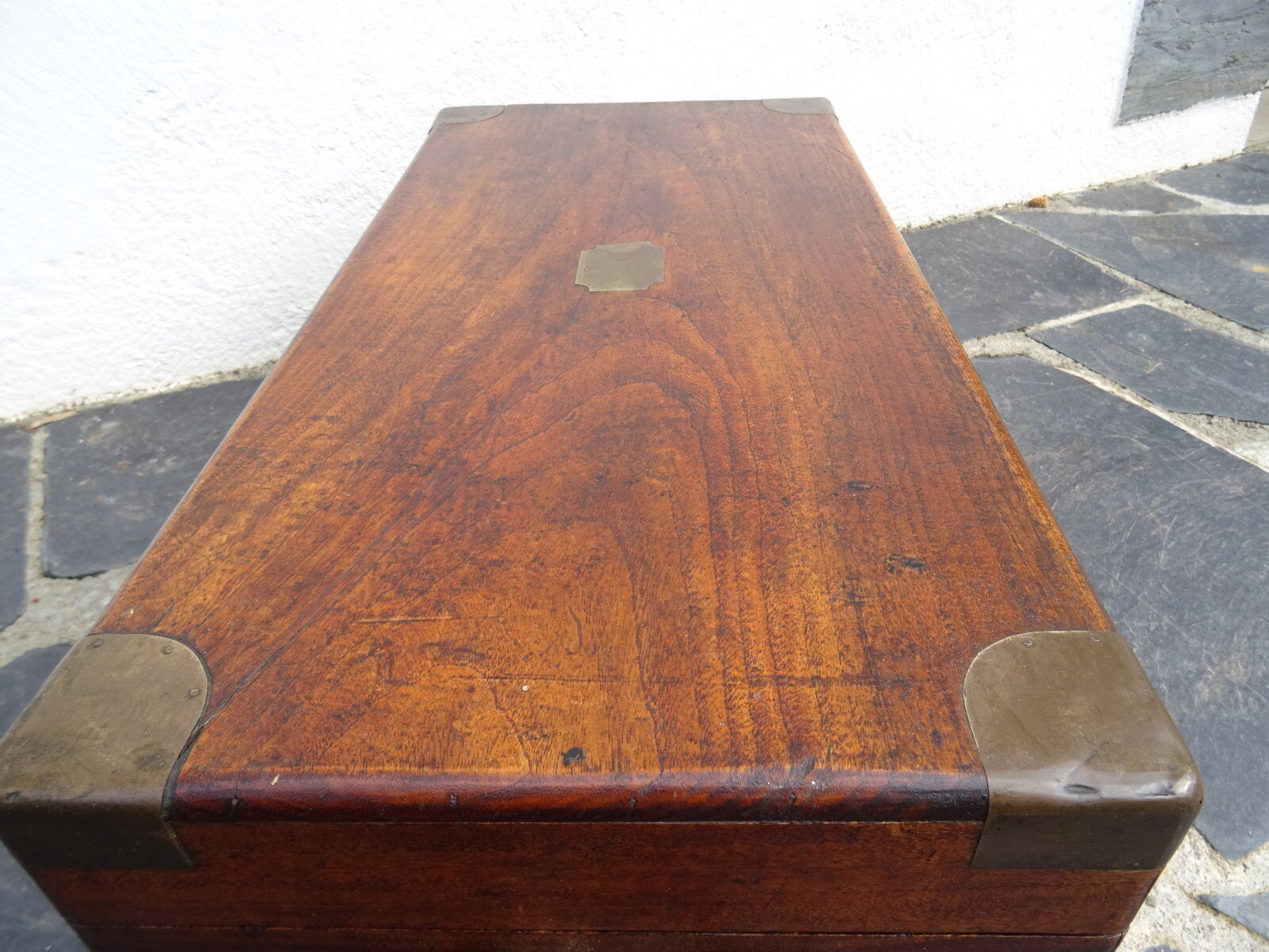 Old marine trunk in camphor tree