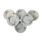 6 hollow porcelain plates floral decoration