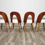 Dining Chairs by Antonin Suman, 1960s, Set of 4