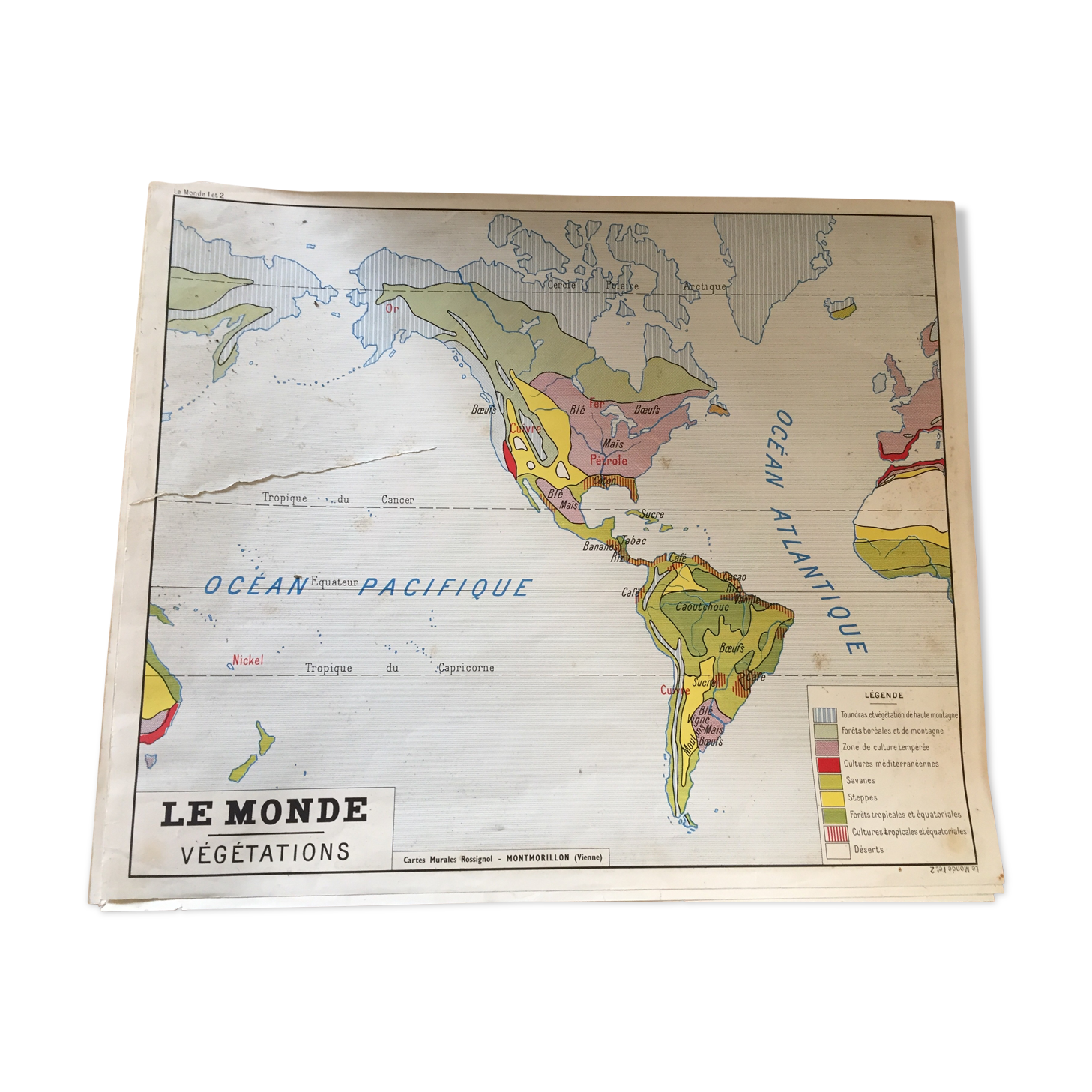 Pedagogical map, the world of vegetation