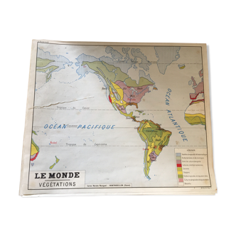 Pedagogical map, the world of vegetation