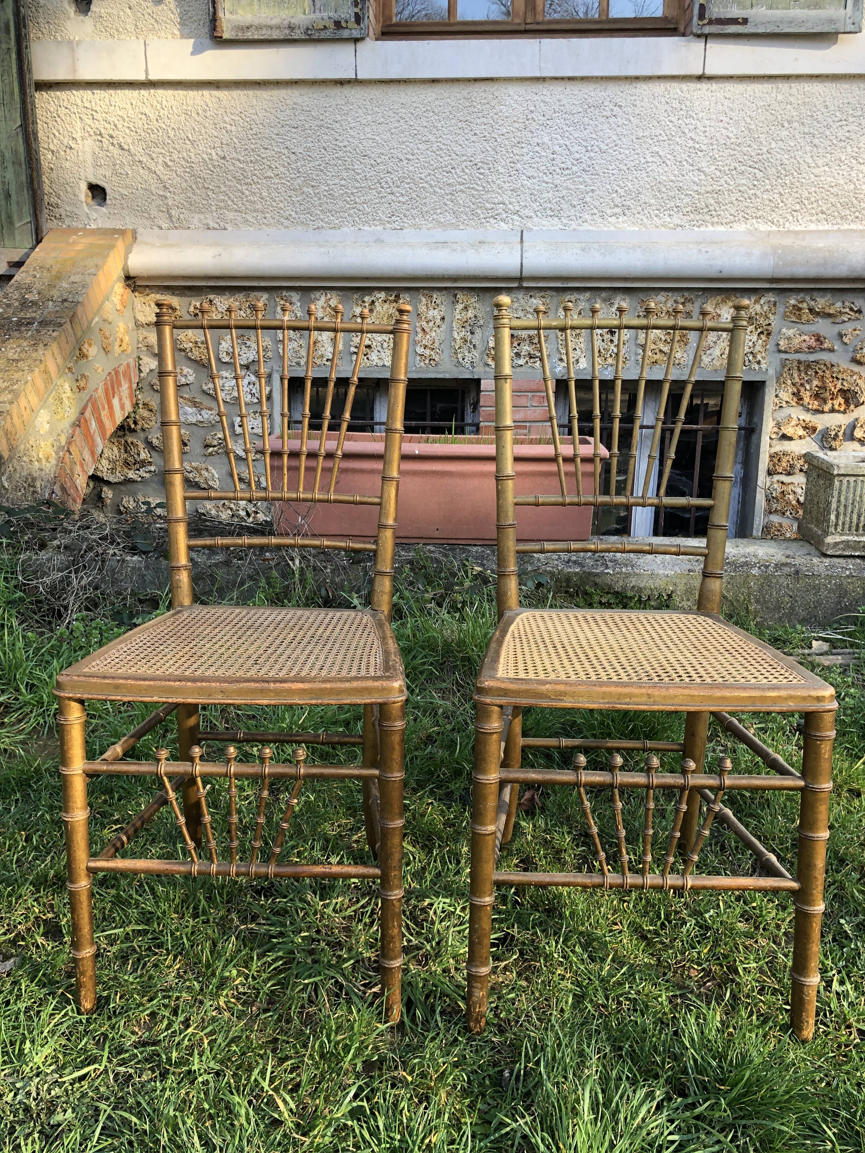 Pair of caned chairs in gilded wood