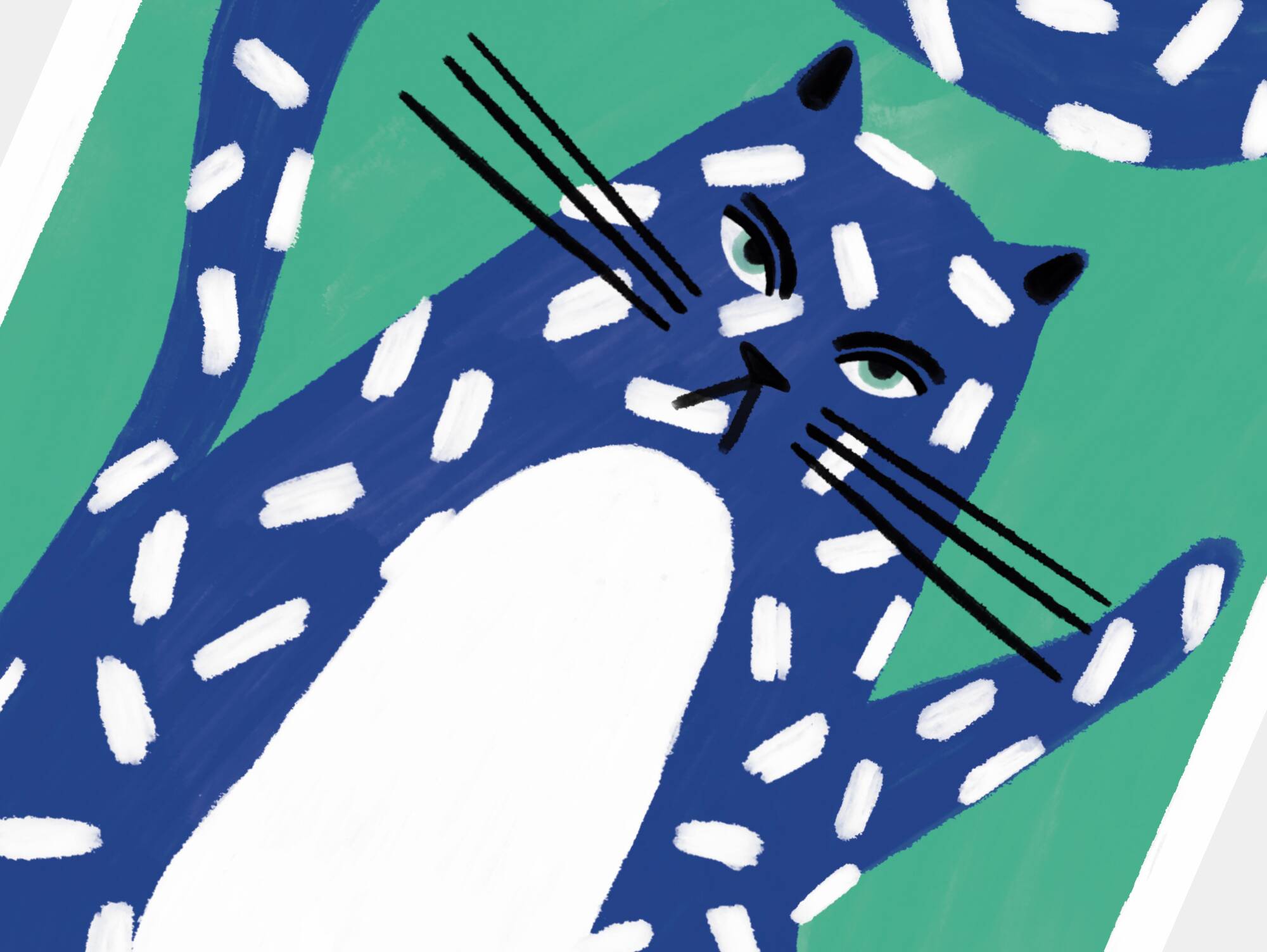 The cat - a4 illustration