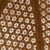 Flower hanging lamp in canning