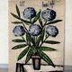 Tapestry Hortensias Bernard Buffet 70s