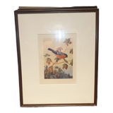 Gravure ornithologique