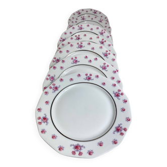 Old porcelain flower plates