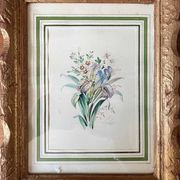 Watercolour painting "Garden Flowers" signed early 20th century