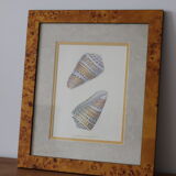 Wooden frame of magnifying glass naturalistic vintage shell