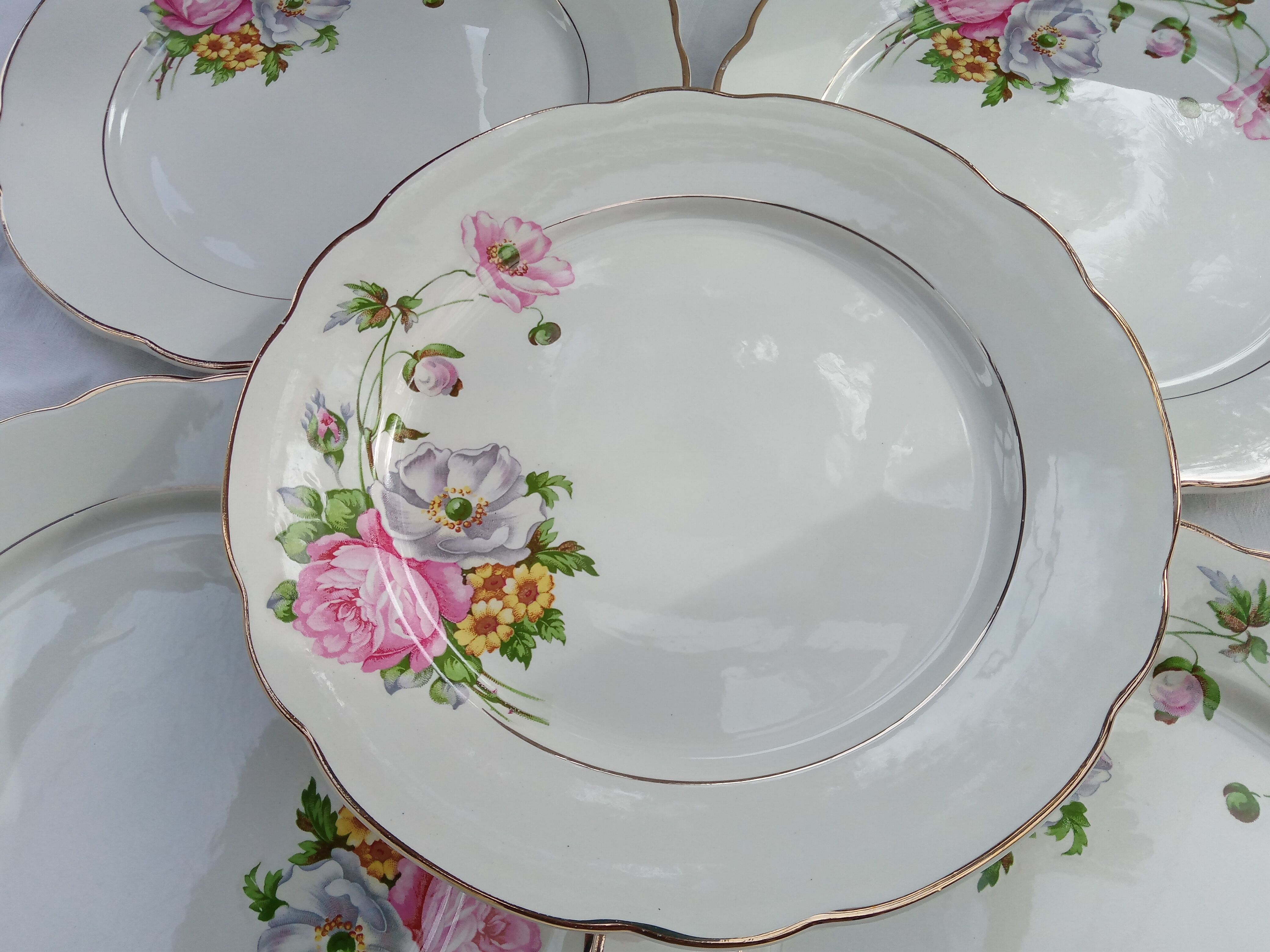 Set of 6 flat plates Digoin