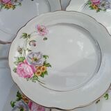 Set of 6 flat plates Digoin