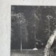 Old XXL black and white tree photograph