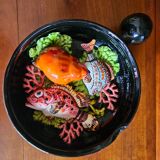Vallauris pan in majolica slip