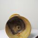 Small vintage hand-turned olive wood vase