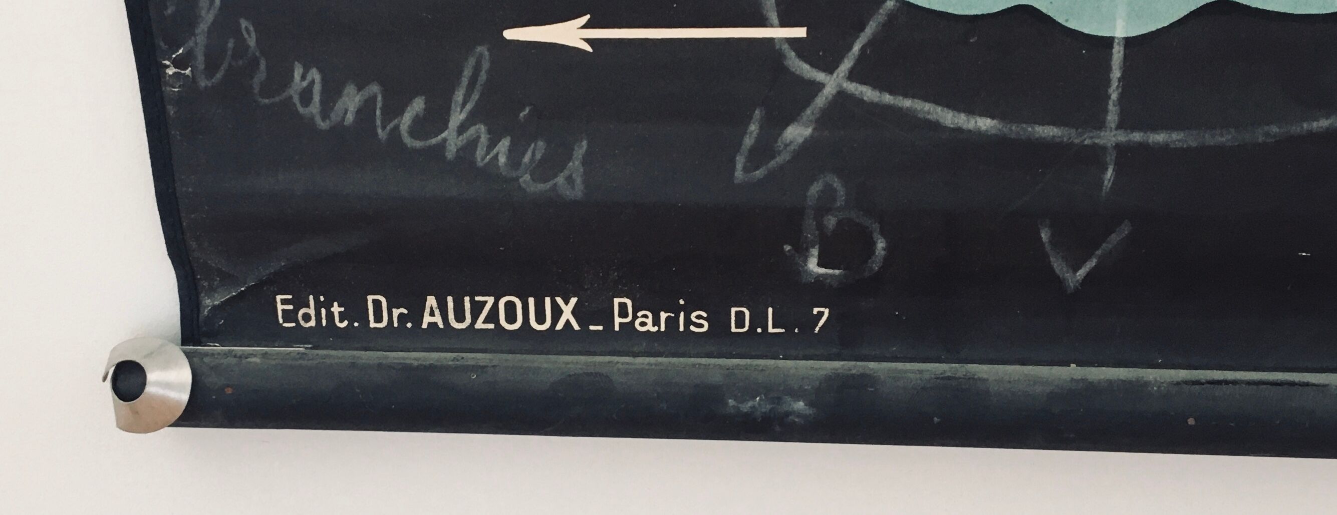 Poster of Doctor Auzoux: The perch